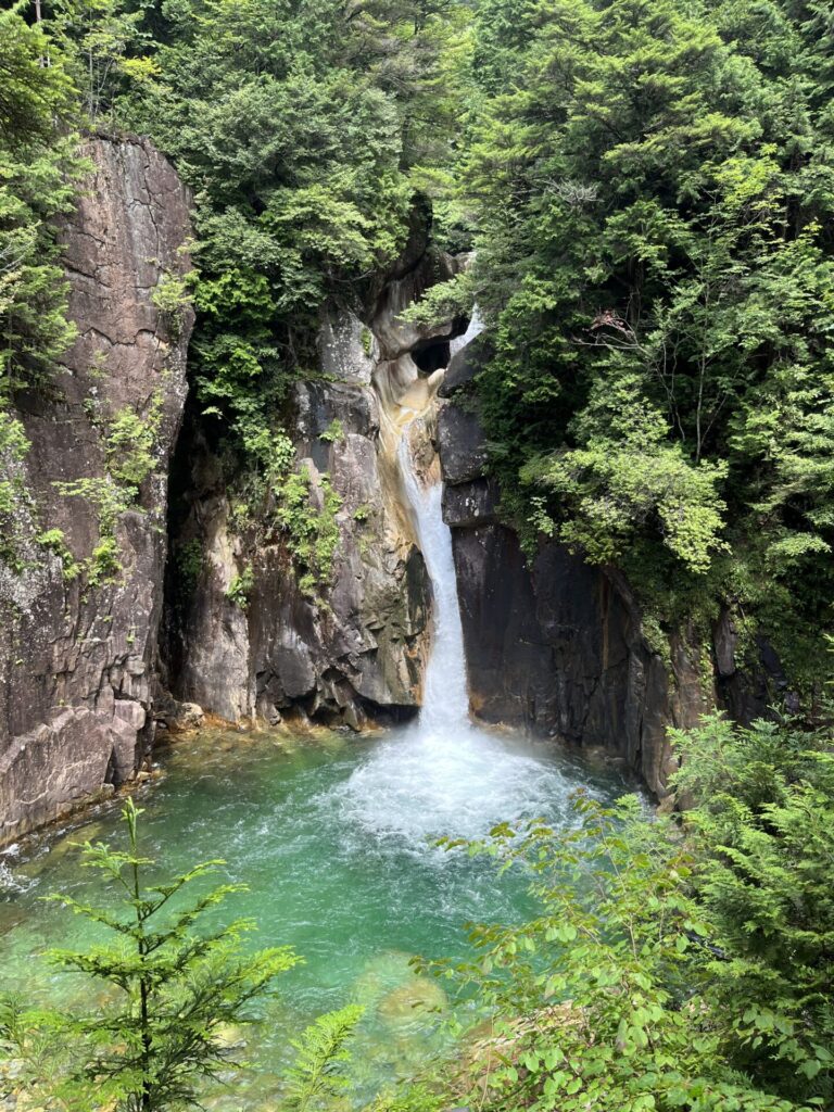夏が来ますね！