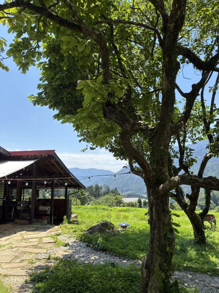 夏、本番！自然の中で涼しいひとときを。